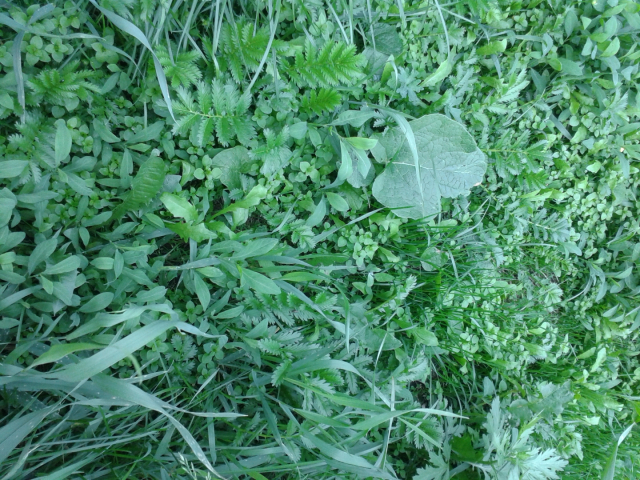 20140624_135519.jpg