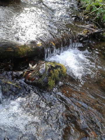 20151003_144633.jpg