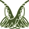 Zhirik
