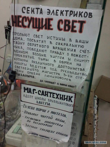 8113916.jpg