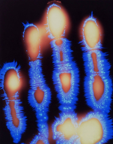 kirlian3.jpg