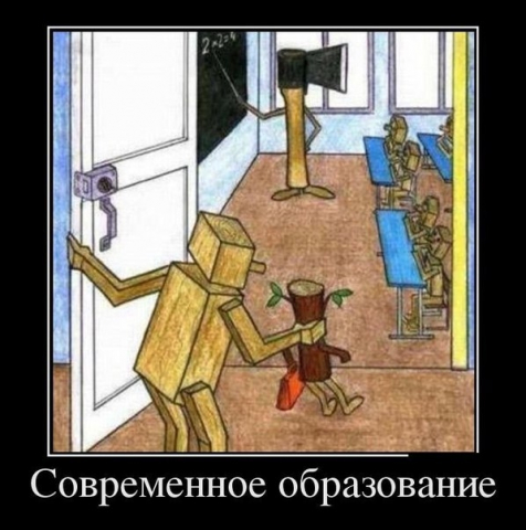 1502815979.jpg