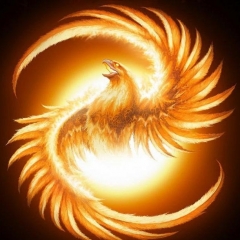 Fenix7