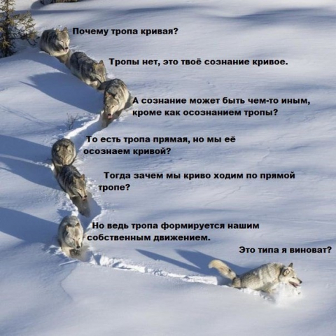 IBTUm74UXcU.thumb.jpg.ccb36ae3844db36a0abfce5d204ab6ec.jpg