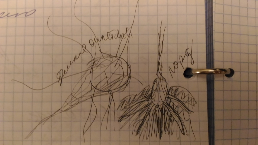 290979914_.thumb.jpg.f311d0b43a57727f058c9edd120fa4da.jpg