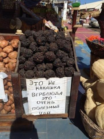 Lp.thumb.jpg.426ca1250eadf120b3b04667984927d3.jpg