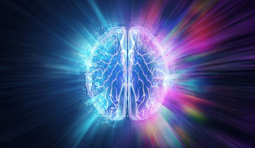 Brain.jpeg