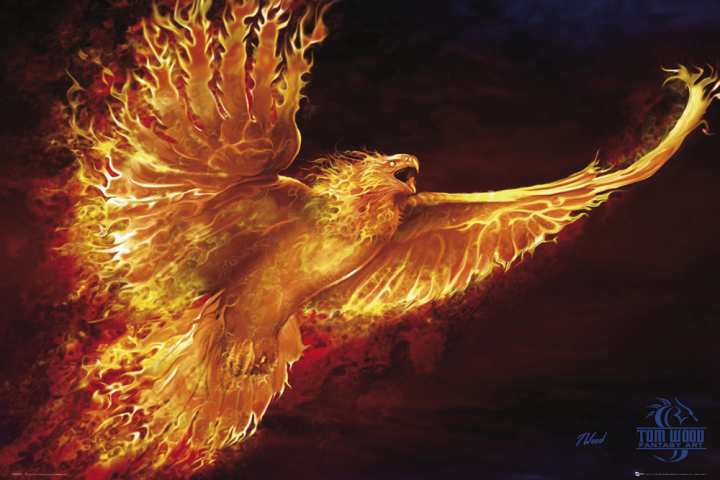 tom-wood-phoenix-i7265.thumb.jpg.6b453b656b8fa68a1df42955817336d2.jpg