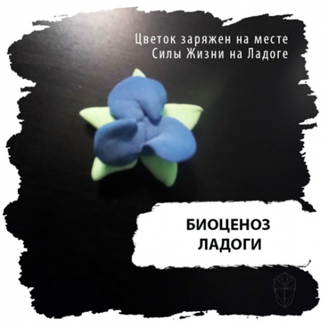 ebftWzGkZ4M.thumb.jpg.2185414d7fee7c130c2582e3c97afa54.jpg