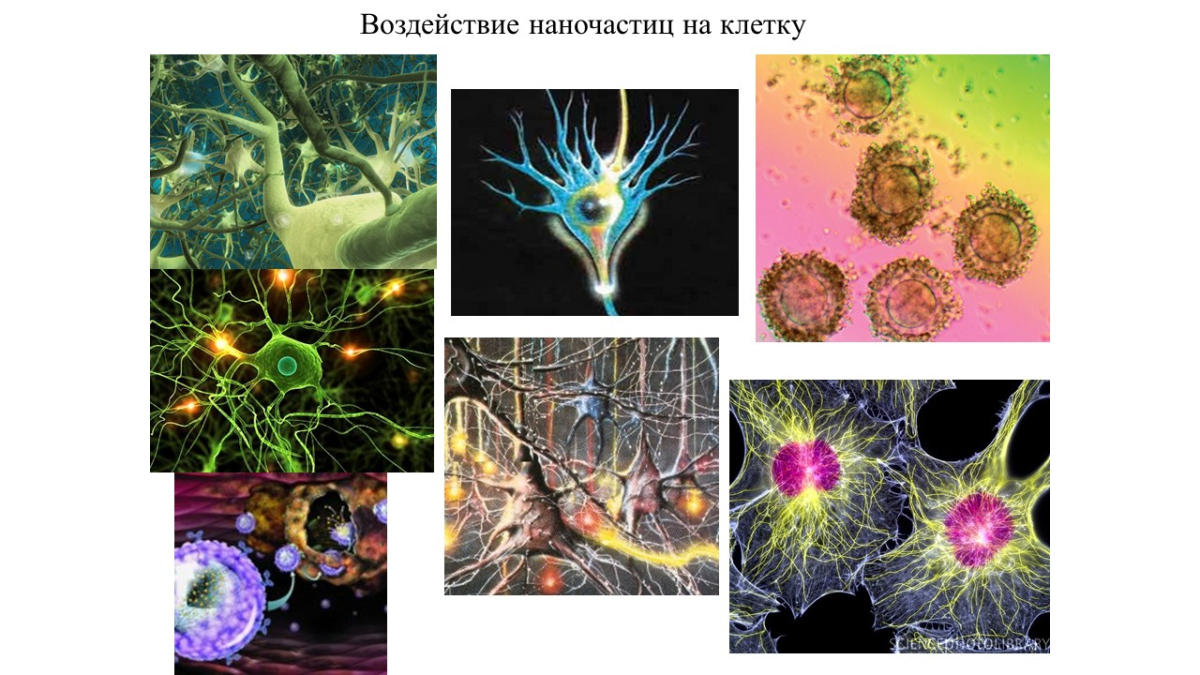 Слайд17.JPG
